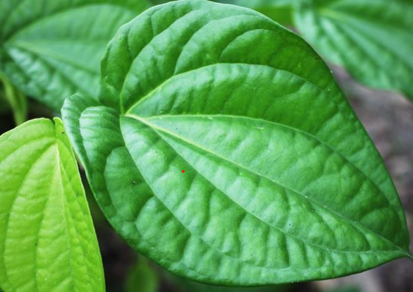 Media.NewsItem.ImageAlternateTextFormat