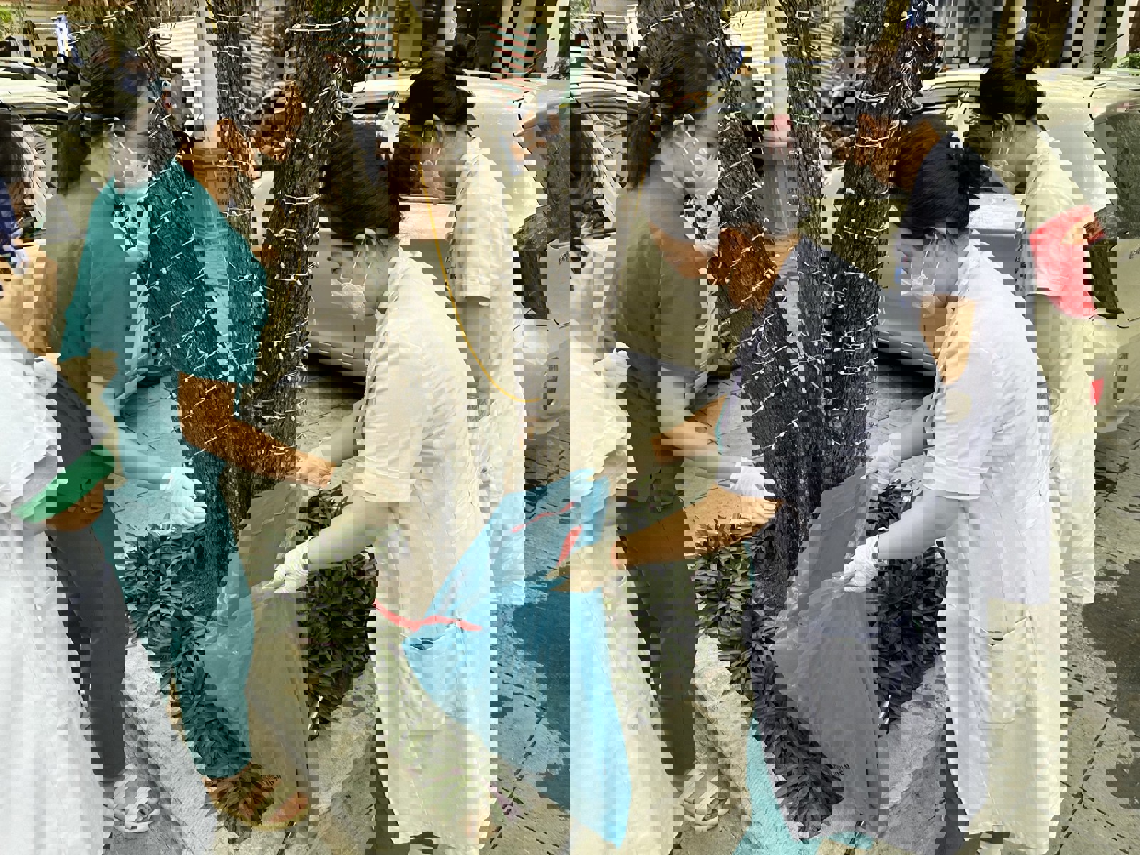 Media.NewsItem.ImageAlternateTextFormat